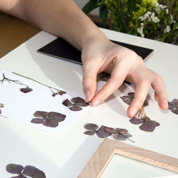 HUCKLEBERRY PRESSED FLOWER FRAME (HB02-F) / Gadgets - Αταξινόμητα -  - Techbox