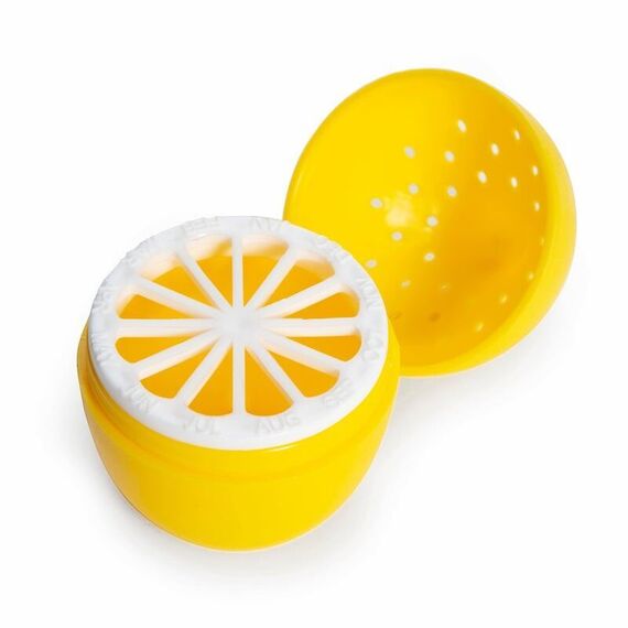 Lemon And Lime Fridge Freshener / Gadgets