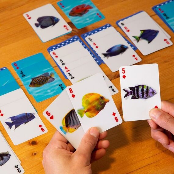 Fish 3D Cards / Gadgets - Αταξινόμητα -  - Techbox