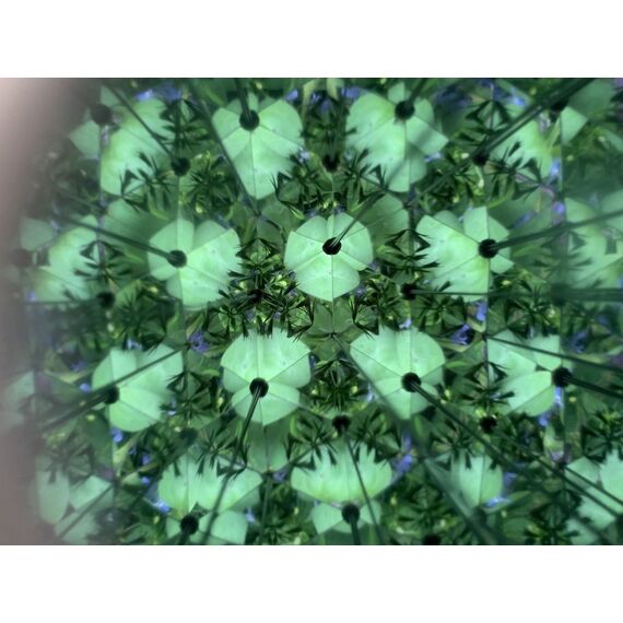 Huckleberry Kaleidoscope (HB15) / Gadgets - Αταξινόμητα -  - Techbox