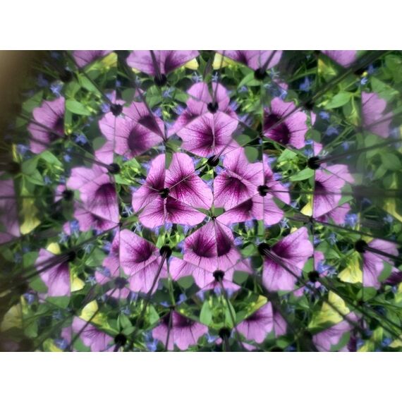 Huckleberry Kaleidoscope (HB15) / Gadgets - Αταξινόμητα -  - Techbox