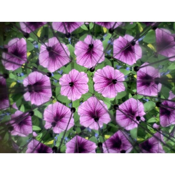 Huckleberry Kaleidoscope (HB15) / Gadgets - Αταξινόμητα -  - Techbox