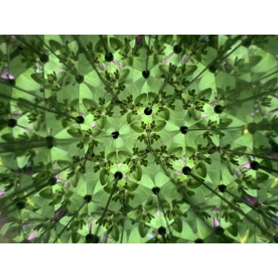 Huckleberry Kaleidoscope (HB15) / Gadgets - Αταξινόμητα -  - Techbox