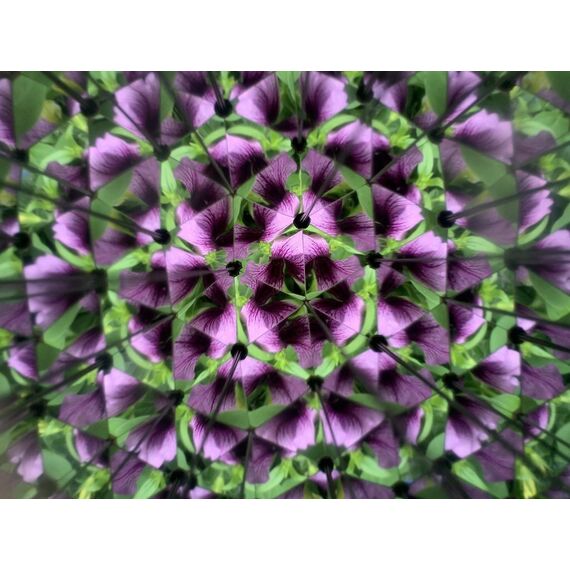 Huckleberry Kaleidoscope (HB15) / Gadgets - Αταξινόμητα -  - Techbox