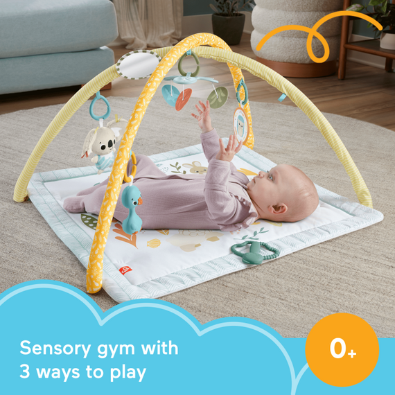 Fisher Price Newborn – Simply Senses newborn Gym (HRB15) / Toys - Αταξινόμητα -  - Techbox