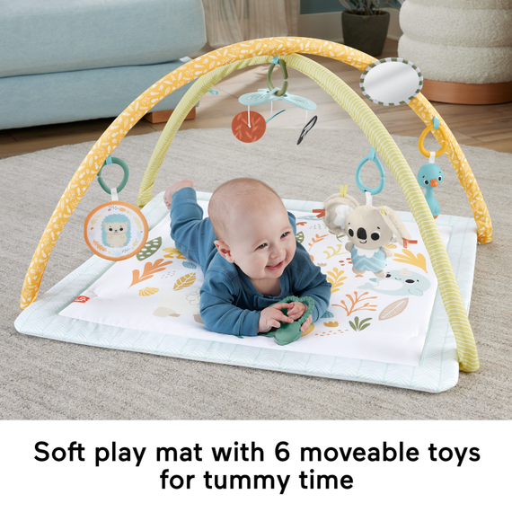 Fisher Price Newborn – Simply Senses newborn Gym (HRB15) / Toys - Αταξινόμητα -  - Techbox