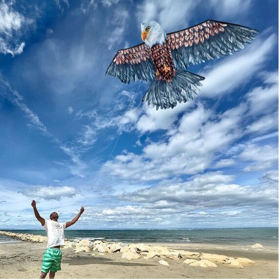 3D Eagle Kite / Gadgets