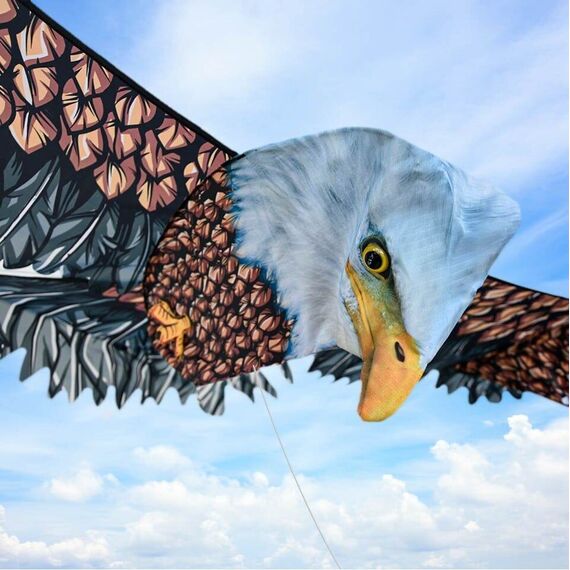 3D Eagle Kite / Gadgets