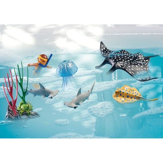 Playmobil - Coral Reef examination (71623) / Toys - Playmobil - Collectibles - Techbox