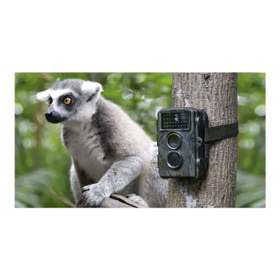 Technaxx - Nature Wild Cam - TX-69 / Sport and Outdoor - Αταξινόμητα -  - Techbox