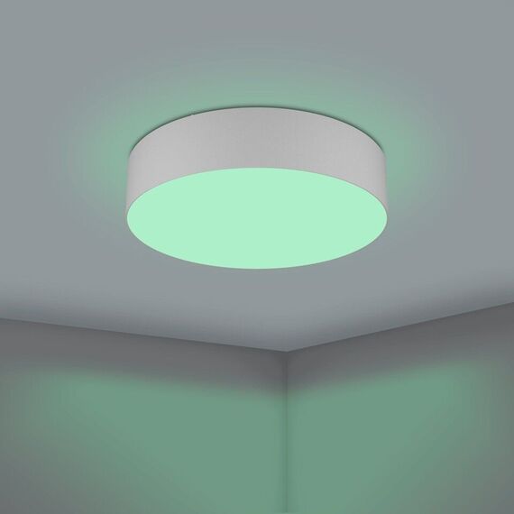 EGLO - Romao-Z loft lamp gray Ø57 - RGB + TW - Zigbee, Bluetooth / Electronics | Techbox
