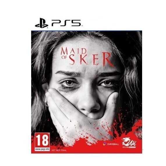 Maid of Sker / PlayStation 5 - PS5 Games - Games - Techbox