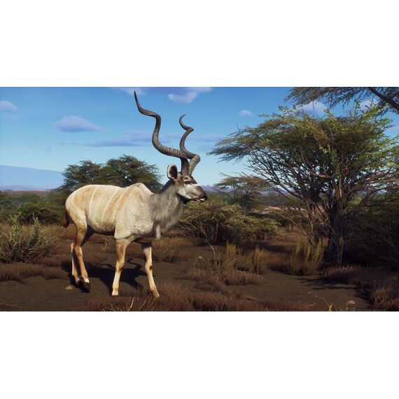 Way of the Hunter - Wild Expeditions / PlayStation 5 | Techbox