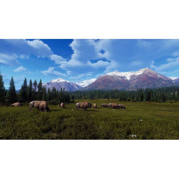 Way of the Hunter - Wild Expeditions / PlayStation 5 | Techbox