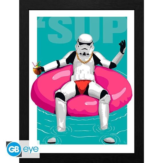 ORIGINAL STORMTROOPER - Framed print Pool Boy (30x40) x2 / Fan Shop and Merchandise - Home Decoration - Gifts - Techbox