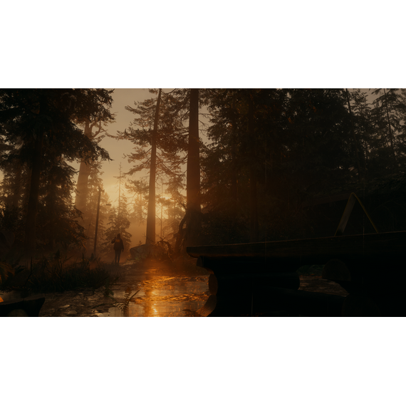 Alan Wake 2 (Deluxe Edition) / PlayStation 5 | Techbox