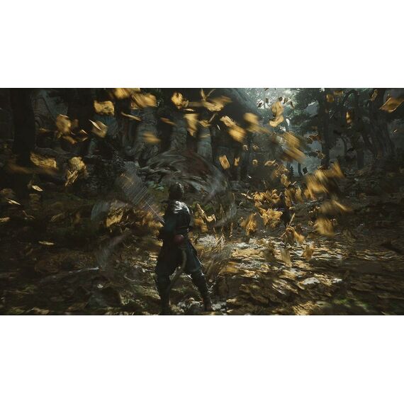 Black Myth: Wukong / PlayStation 5 | Techbox