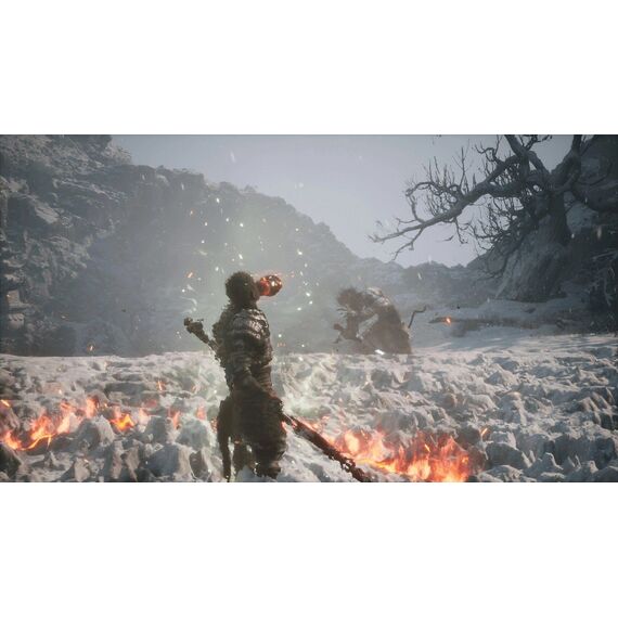 Black Myth: Wukong / PlayStation 5 | Techbox
