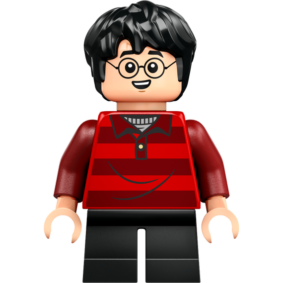 LEGO - Harry Potter TM - The Burrow (76437) / Toys |  Techbox