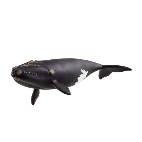 Schleich - North Atlantic Right Whale - (14878) / Toys
