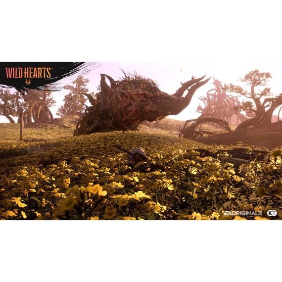 Wild Hearts / Xbox Series X - Series X Games - Games - Techbox