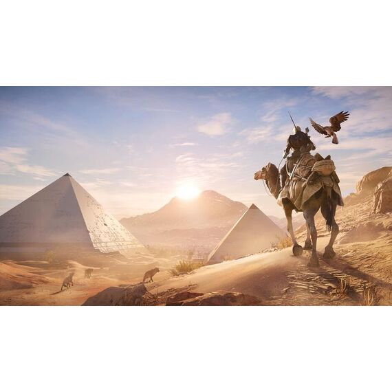Assassin's Creed: Origins / Xbox One | Techbox