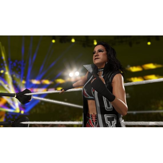 WWE 2K25 / PlayStation 5 - PS5 Games - Games - Techbox