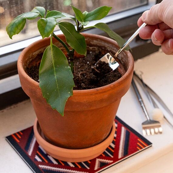 Mini Garden Tools / Gadgets