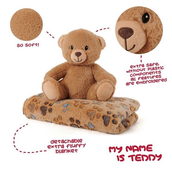 Teddy Bear Soft blanket + plush toy 22cm - GIFT|PLUSH TOYS - Product details