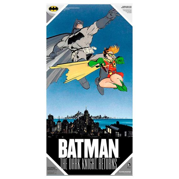 DC Comics Batman and Robin glass poster - GIFT|POSTERS