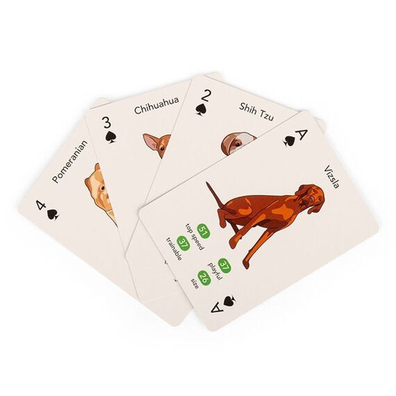 Kikkerland - Paws & Play Playing Cards - (GG274) / Toys