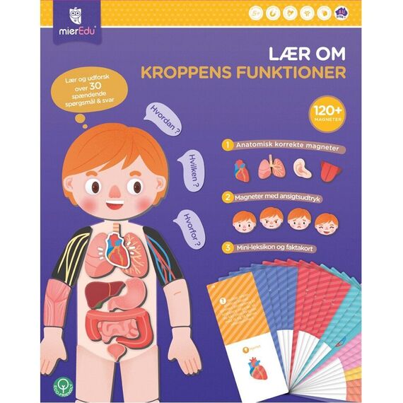 mierEdu - Magnetic Learning Box - All About Body and Emotion (Danish) - (ME097D) / Toys - Αταξινόμητα -  - Techbox
