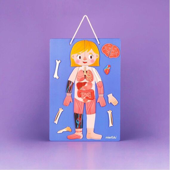 mierEdu - Magnetic Learning Box - All About Body and Emotion (Danish) - (ME097D) / Toys - Αταξινόμητα -  - Techbox