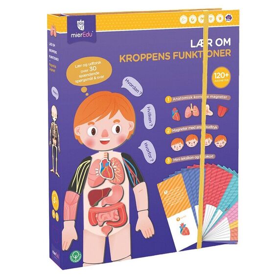 mierEdu - Magnetic Learning Box - All About Body and Emotion (Danish) - (ME097D) / Toys - Αταξινόμητα -  - Techbox