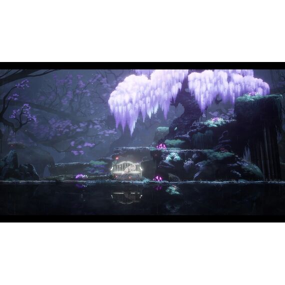 ENDER LILIES - Quietus of the Knights / Nintendo Switch | Techbox