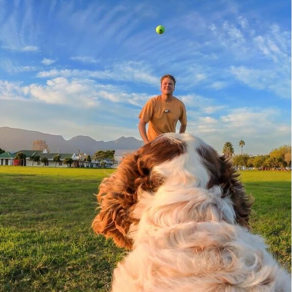 Insta360 - GO 3/GO 3S Pet Harness Mount Size S / Electronics