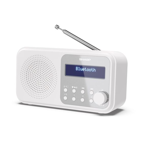 Sharp - Tokyo Portable Digital and FM Radio / Electronics