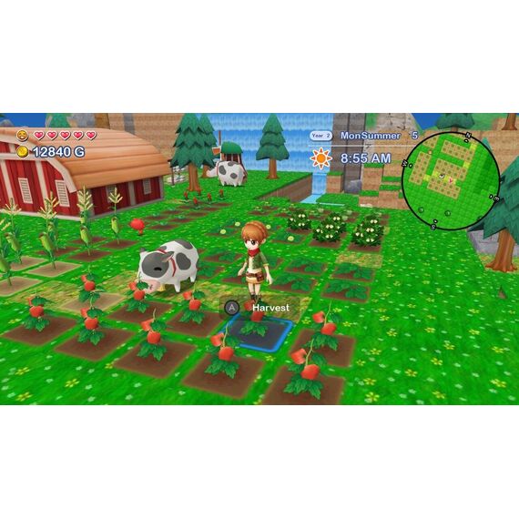 Harvest Moon: The Lost Valley & Skytree Village (Collector's Edition) / Nintendo Switch - Nintendo Switch Games - Games - Techbox