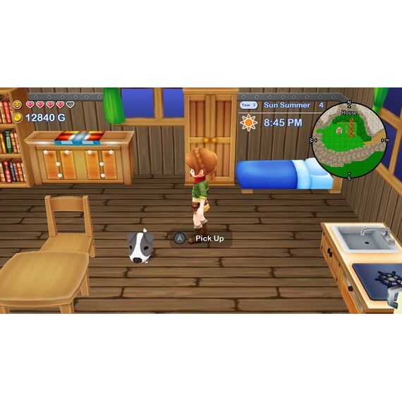 Harvest Moon: The Lost Valley & Skytree Village (Collector's Edition) / Nintendo Switch - Nintendo Switch Games - Games - Techbox