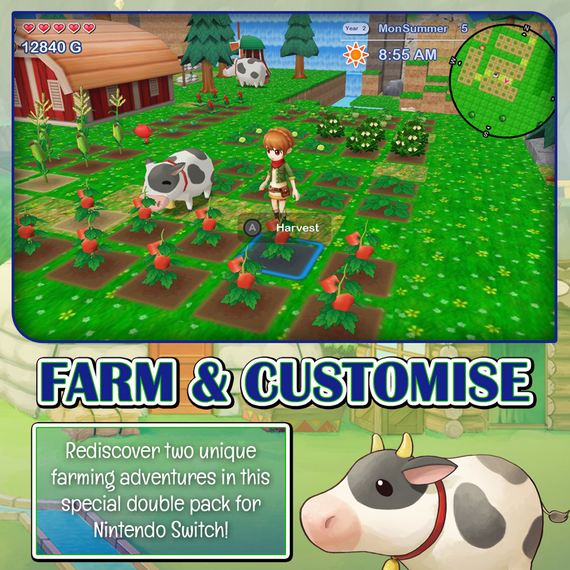 Harvest Moon: The Lost Valley & Skytree Village (Collector's Edition) / Nintendo Switch - Nintendo Switch Games - Games - Techbox