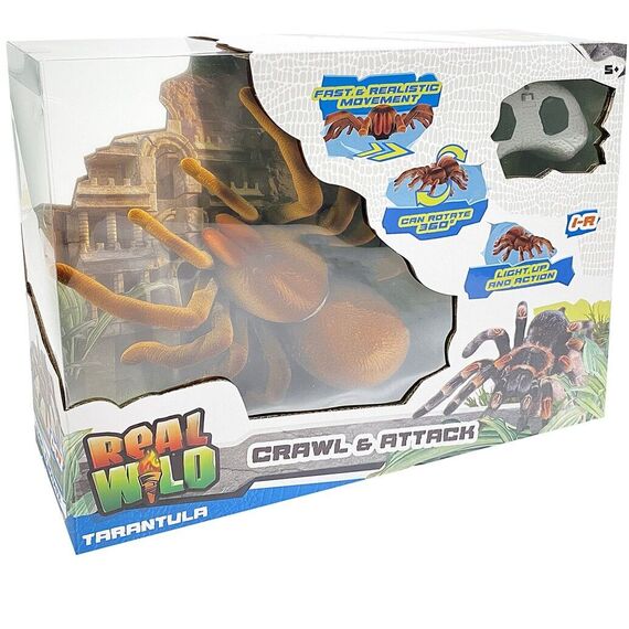 Real Wild - Giant Tarantula Spider (20316) / Toys