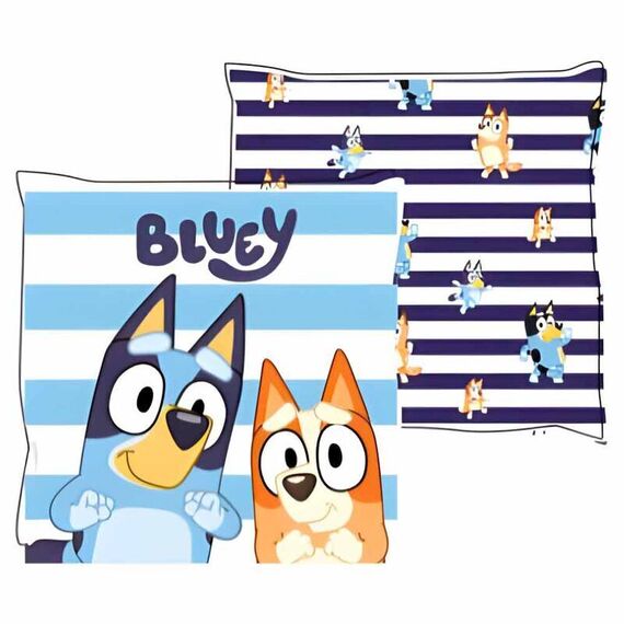 Bluey cushion |  Techbox