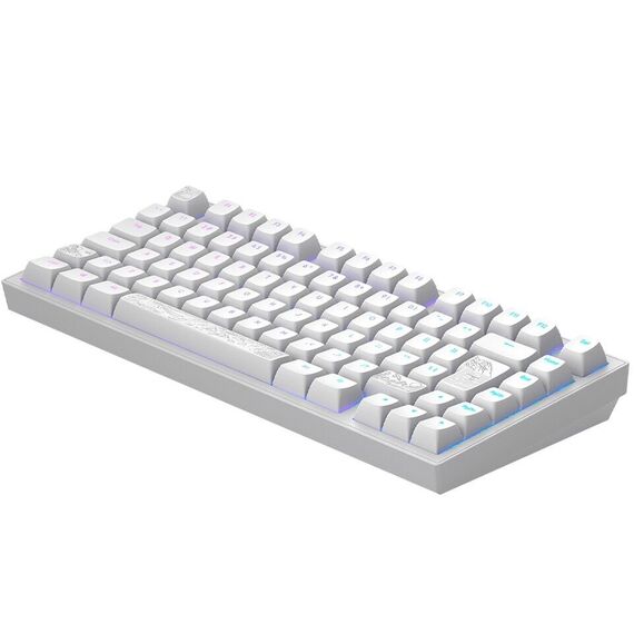 Dark Project - Nostra White 81 RGB / Computers