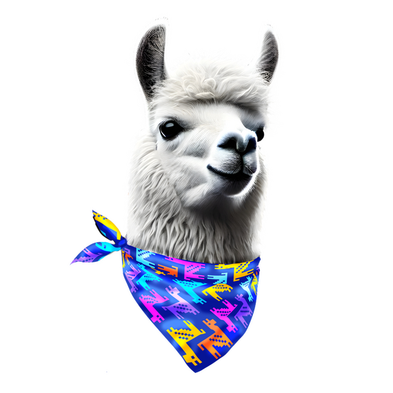 Llamasoft: The Jeff Minter Story (Deluxe Edition) / Nintendo Switch - Nintendo Switch Games - Games - Techbox