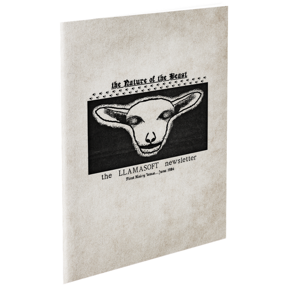 Llamasoft: The Jeff Minter Story (Deluxe Edition) / Nintendo Switch - Nintendo Switch Games - Games - Techbox