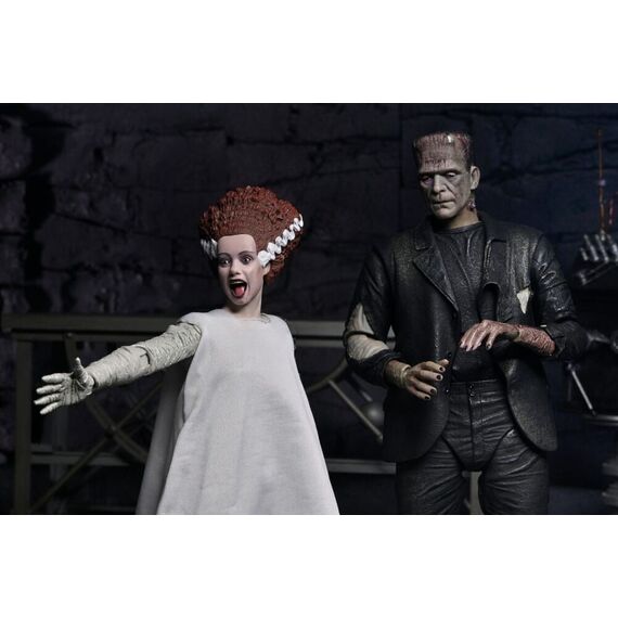 Universal Monsters Action Figures 2-Pack Bride of Frankenstein 90th Anniversary The Monster & His Mate 18 cm |  Techbox
