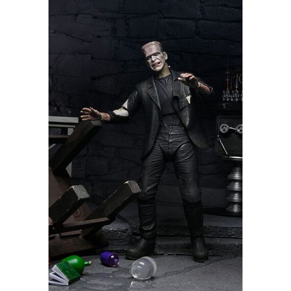 Universal Monsters Action Figures 2-Pack Bride of Frankenstein 90th Anniversary The Monster & His Mate 18 cm |  Techbox