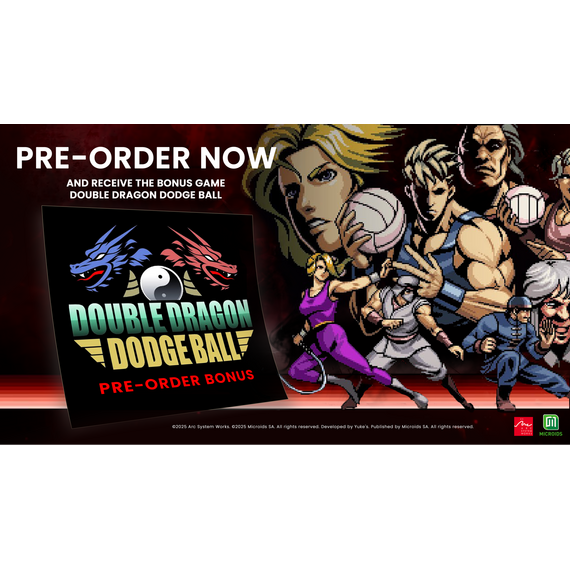 Double Dragon: Revive (Deluxe Edition) / Nintendo Switch - Nintendo Switch Games - Games - Techbox