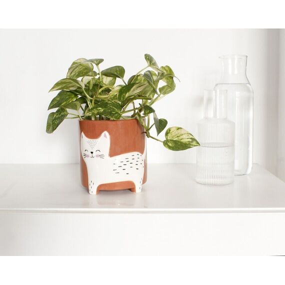 Winkee - Flower pot bowl - Flower pot cat - 13 cm / Gadgets