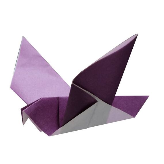 Winkee - Origami Set - 5 Minutes (16487) / Gadgets
